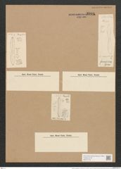 Nitzschia marginulata var. formicina Grun. (de-Toni-Nr.: Genus 47, Species 2016) Zeichnungen Sammlung Grunow Nr. 3994 (NHMW-BOT-W0371778)